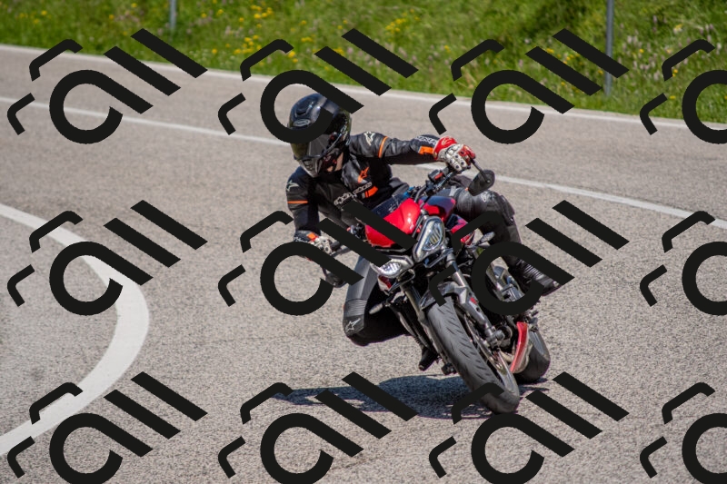 202506021246-DSC_9229_c4_