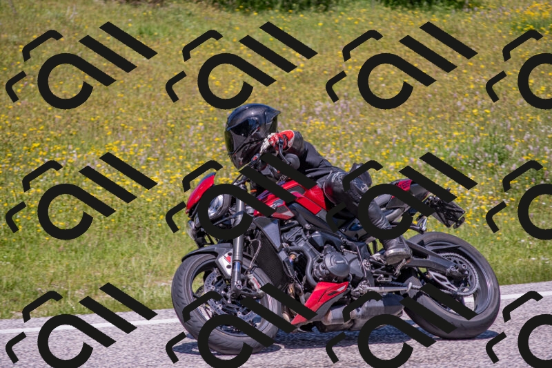 202506021247-DSC_9230_c4_