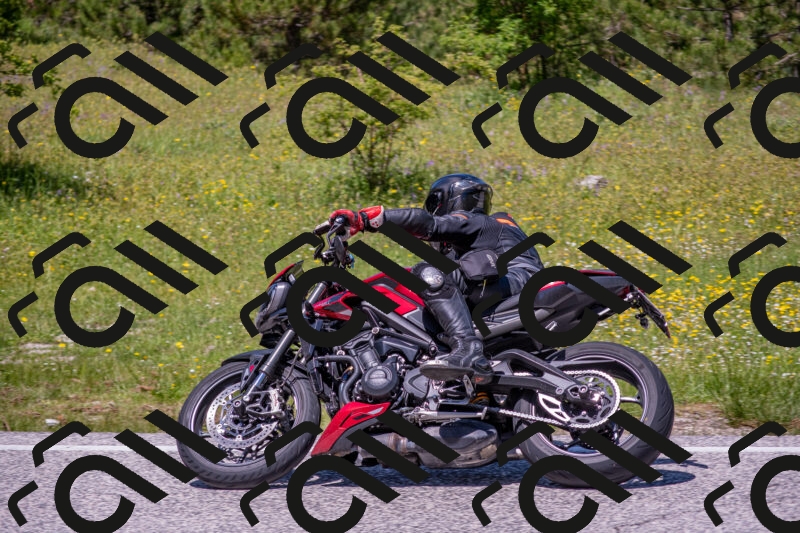 202506021247-DSC_9231_c4_