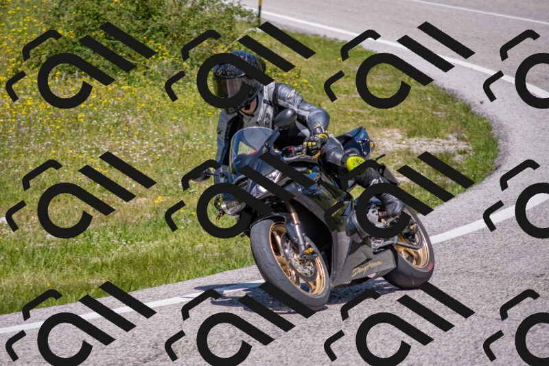 202506021247-DSC_9232_c4_