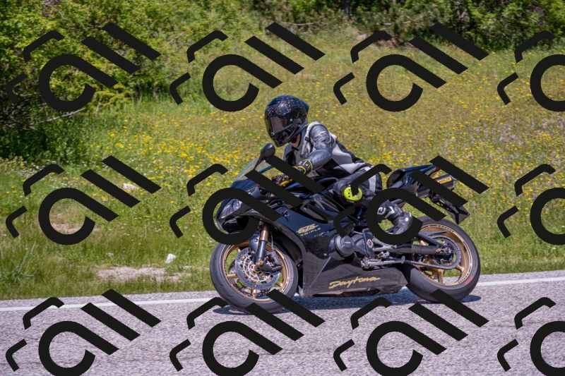 202506021247-DSC_9233_c4_