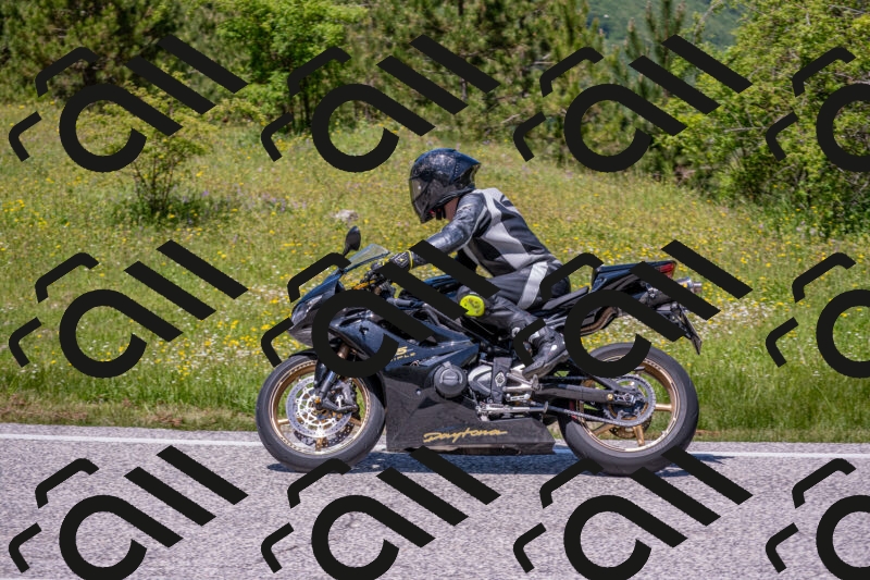 202506021247-DSC_9234_c4_