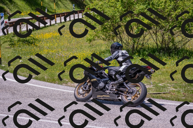 202506021247-DSC_9235_c4_