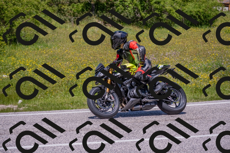 202506021247-DSC_9237_c4_