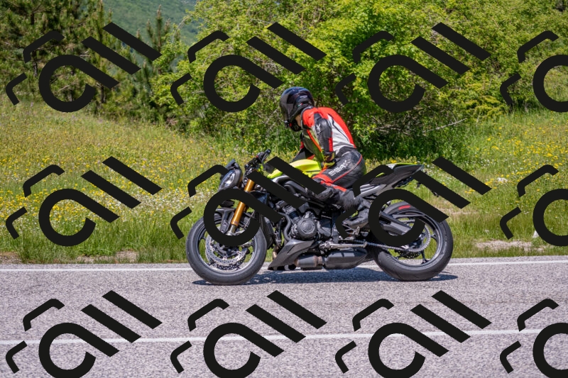 202506021247-DSC_9238_c4_