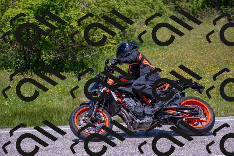 202506021248-DSC_9248_c4_