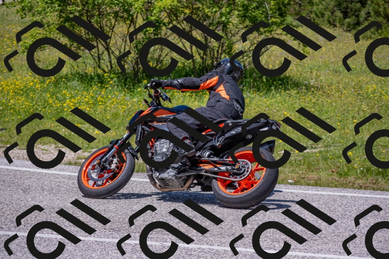 202506021248-DSC_9249_c4_