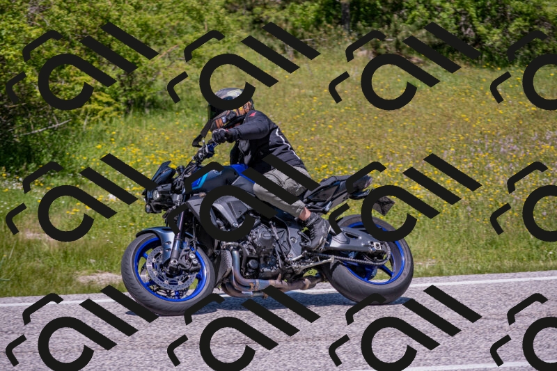 202506021248-DSC_9251_c4_