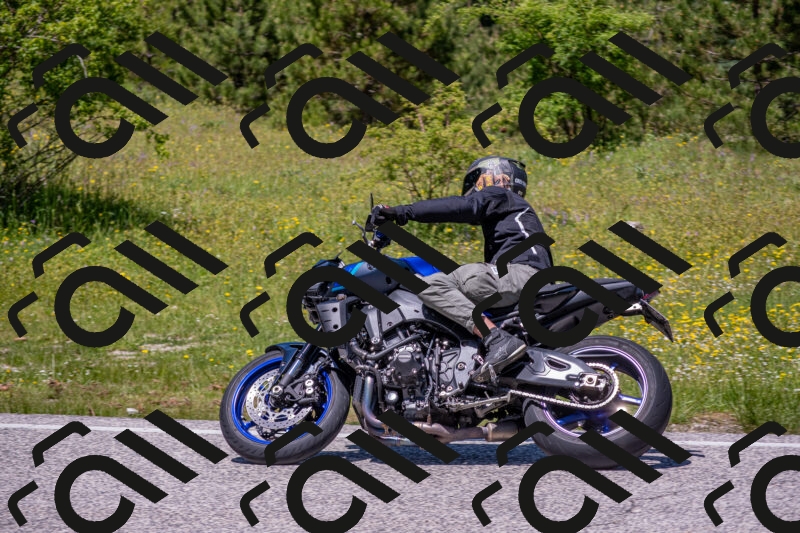 202506021248-DSC_9252_c4_