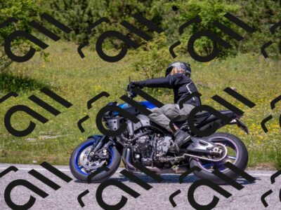 202506021248-DSC_9252_c4_