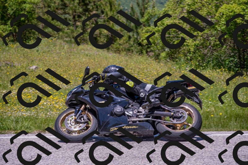 202506021248-DSC_9254_c4_