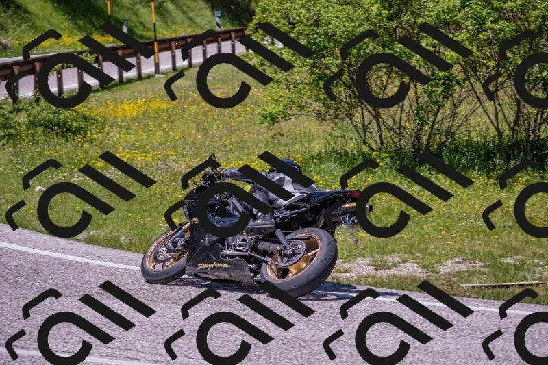 202506021248-DSC_9255_c4_