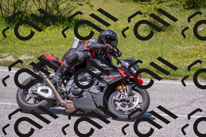 202506021249-DSC_9258_c4_