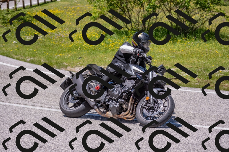 202506021249-DSC_9259_c4_