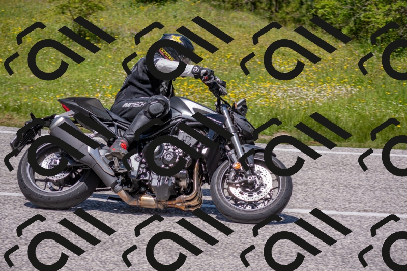 202506021249-DSC_9260_c4_