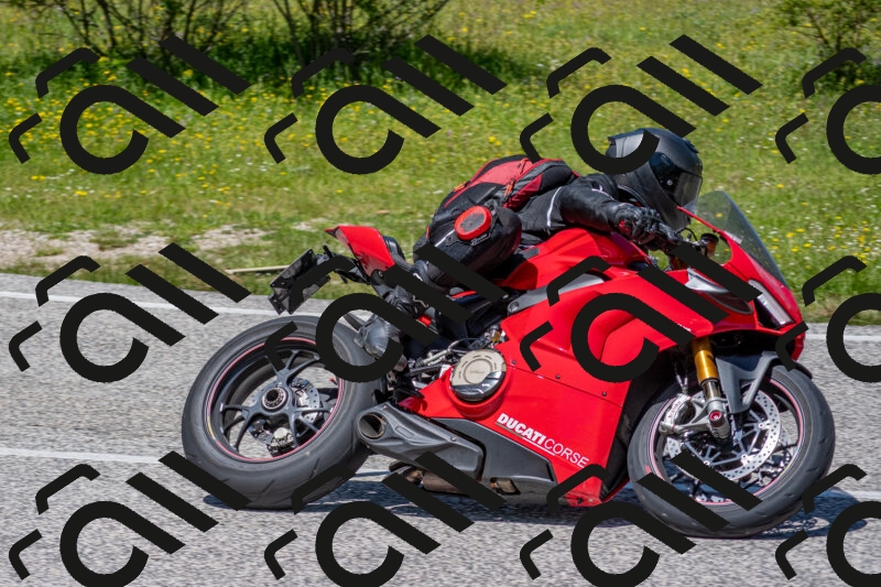 202506021249-DSC_9261_c4_