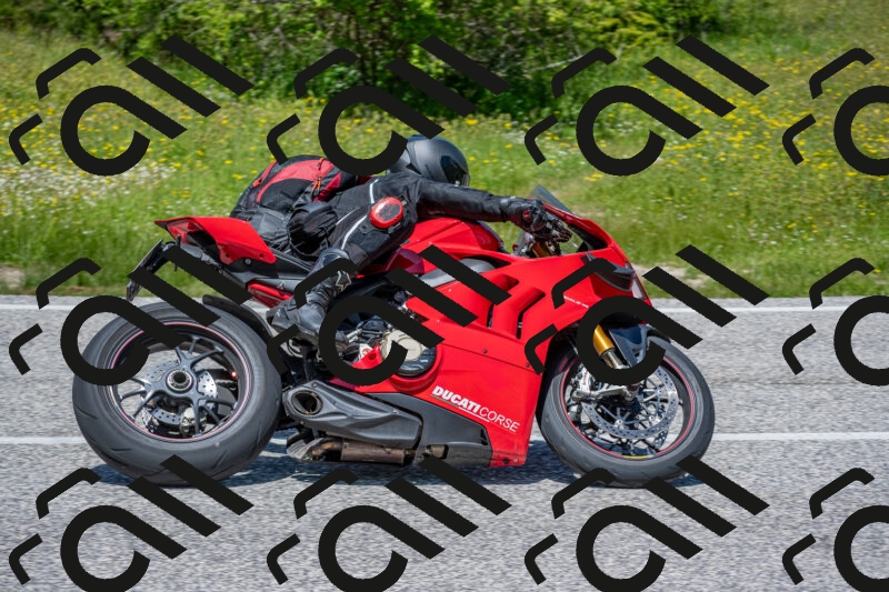 202506021249-DSC_9262_c4_