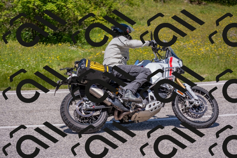 202506021249-DSC_9268_c4_