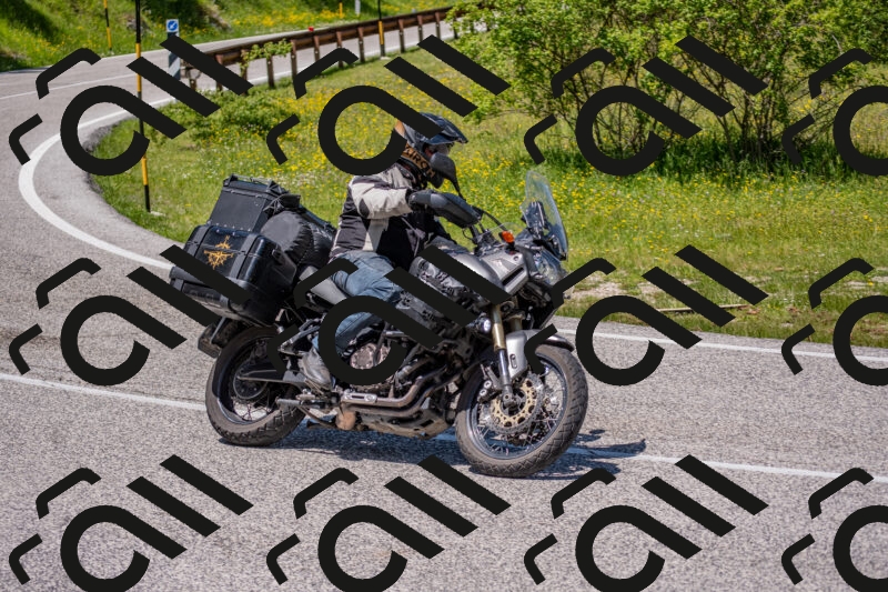 202506021249-DSC_9273_c4_