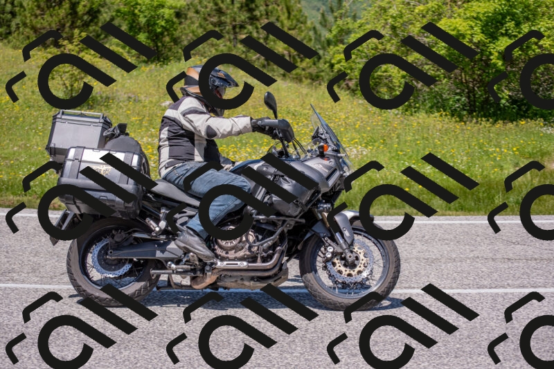 202506021249-DSC_9274_c4_