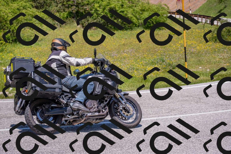 202506021249-DSC_9275_c4_