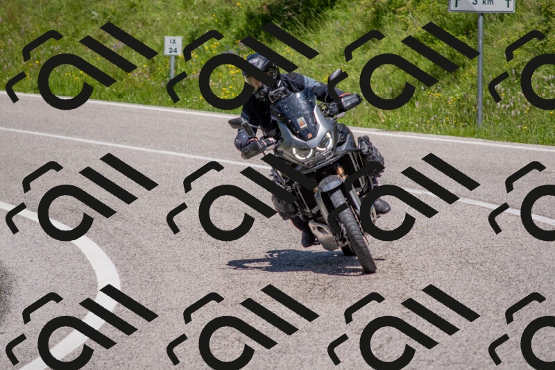 202506021250-DSC_9276_c4_