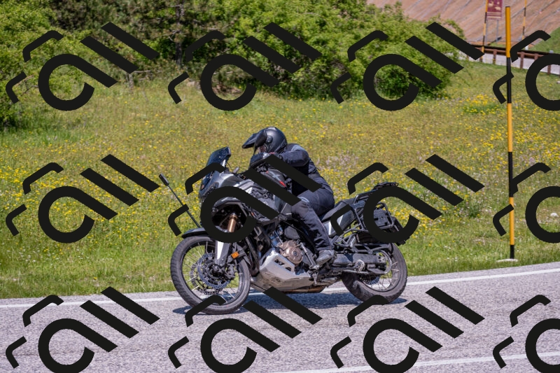 202506021250-DSC_9278_c4_