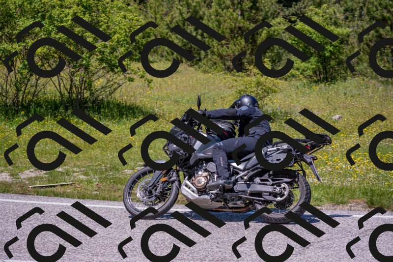 202506021250-DSC_9279_c4_