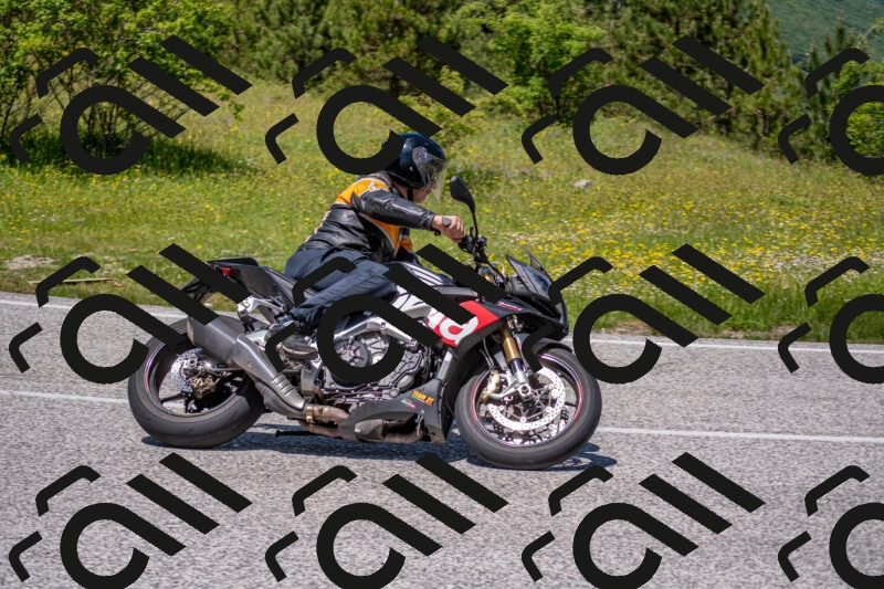 202506021250-DSC_9282_c4_