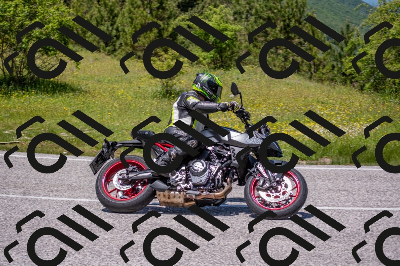 202506021250-DSC_9284_c4_