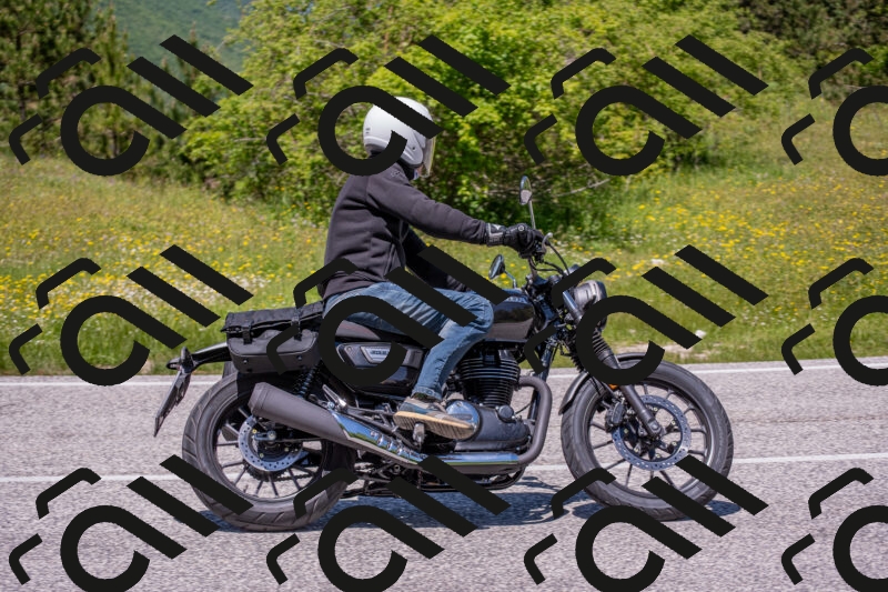 202506021250-DSC_9287_c4_