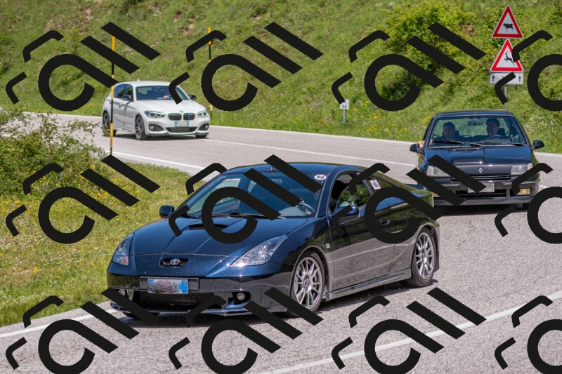 202506021251-DSC_9295_c4_