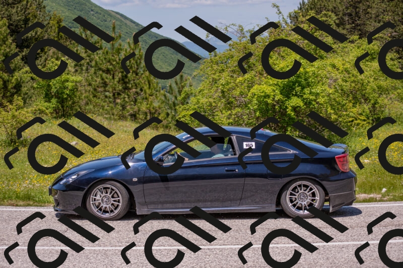 202506021251-DSC_9297_c4_