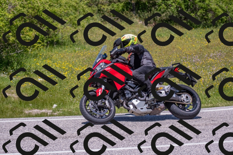 202506021251-DSC_9303_c4_