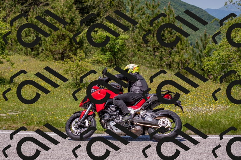 202506021251-DSC_9304_c4_