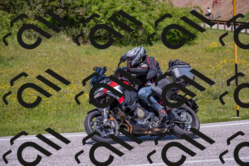 202506021251-DSC_9306_c4_