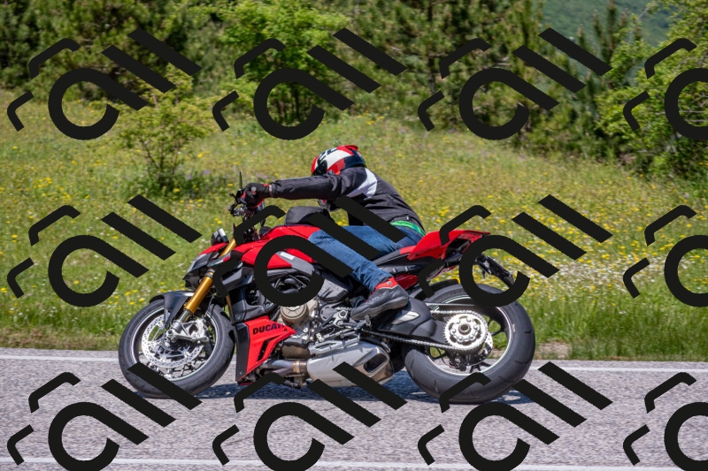 202506021251-DSC_9309_c4_