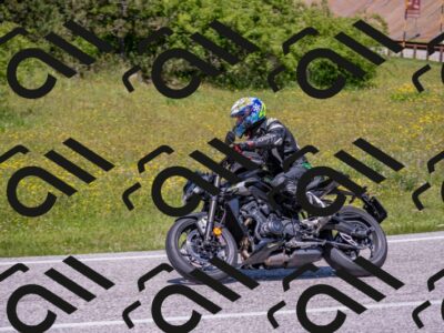 202506021251-DSC_9310_c4_