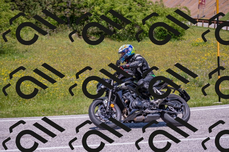 202506021251-DSC_9310_c4_