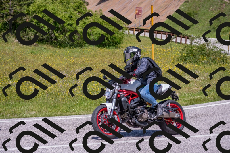 202506021251-DSC_9312_c4_