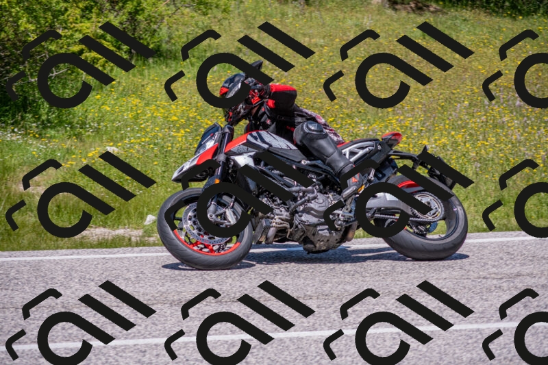 202506021251-DSC_9315_c4_