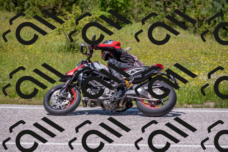 202506021251-DSC_9316_c4_