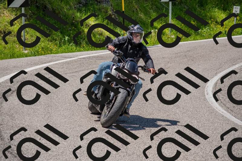 202506021252-DSC_9319_c4_