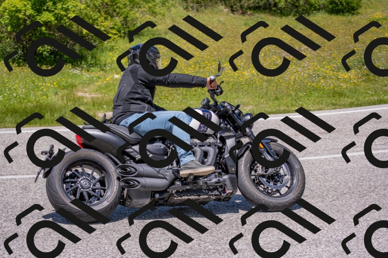 202506021252-DSC_9321_c4_