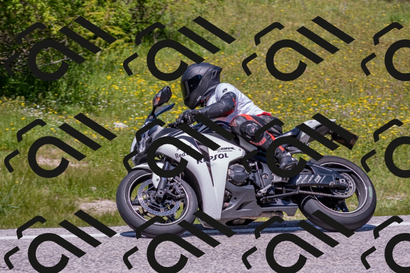 202506021252-DSC_9324_c4_