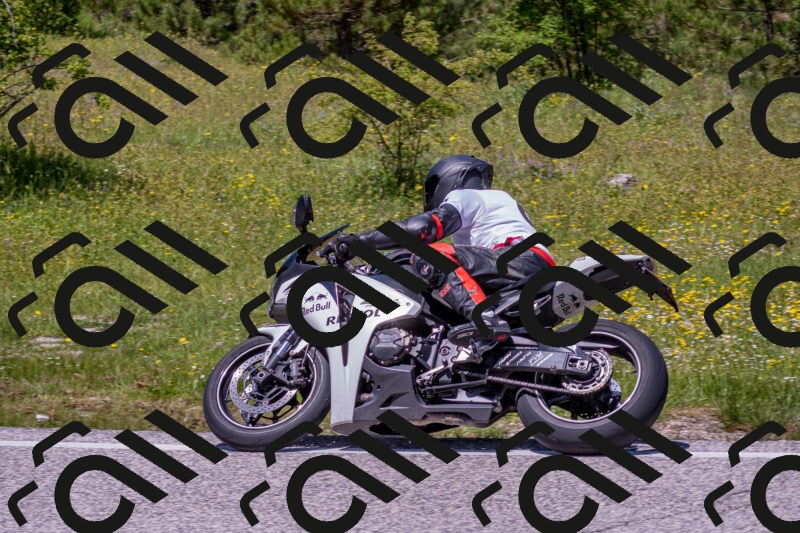 202506021252-DSC_9325_c4_