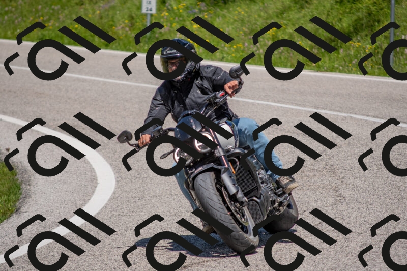 202506021253-DSC_9326_c4_