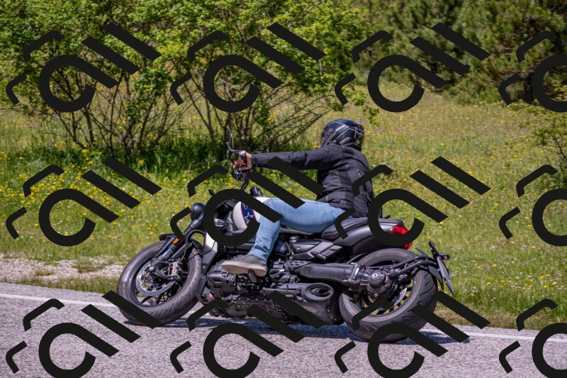 202506021253-DSC_9329_c4_