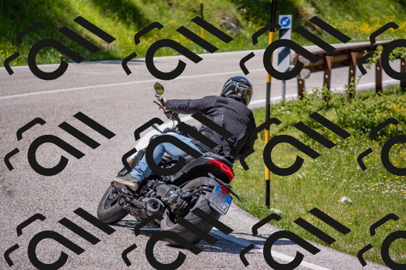 202506021253-DSC_9330_c4_