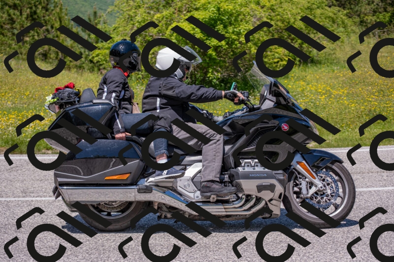 202506021253-DSC_9333_c4_